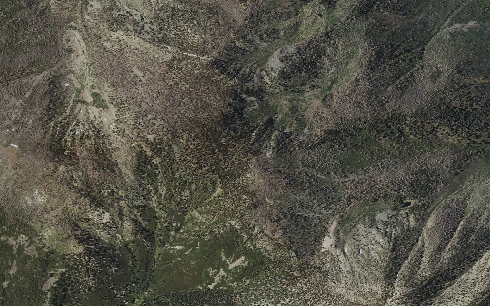 Aerial view centered on High Meadow Springs camp area