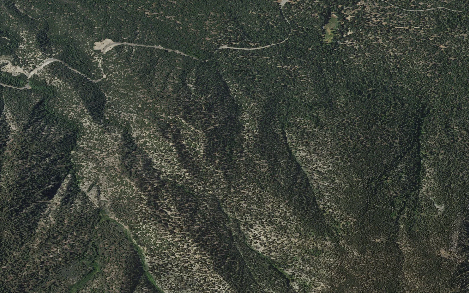 Aerial view centered on Johns Meadow camp area