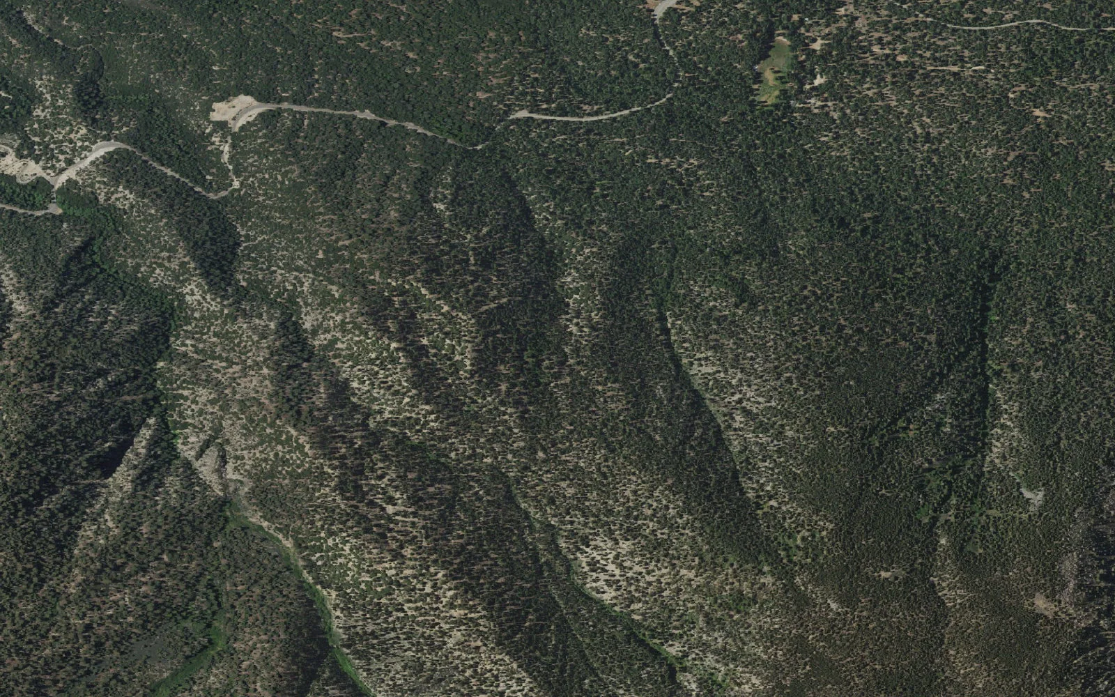 Aerial view centered on Limber Pine Bench camp area