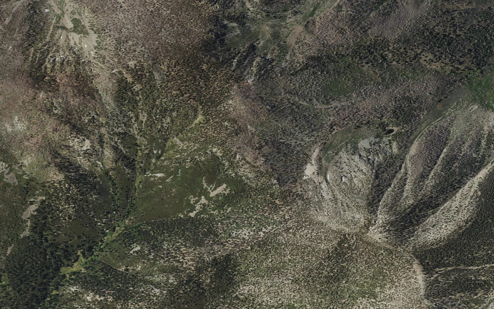 Aerial view centered on Red Rock Flat camp area