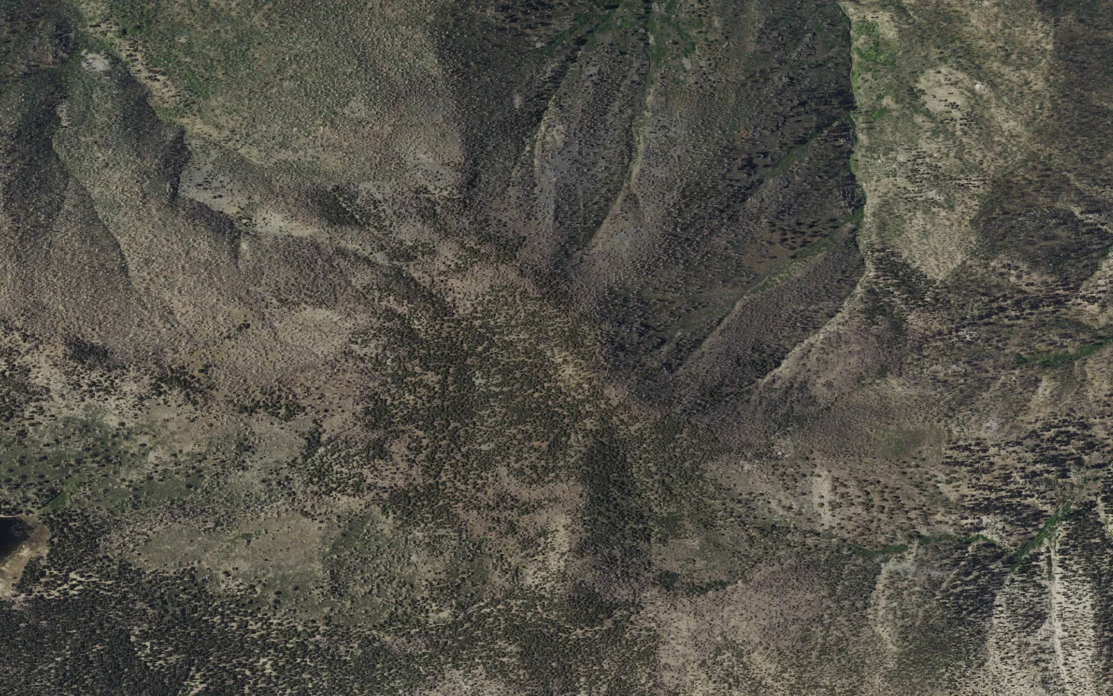 Aerial view centered on Shields Flat camp area