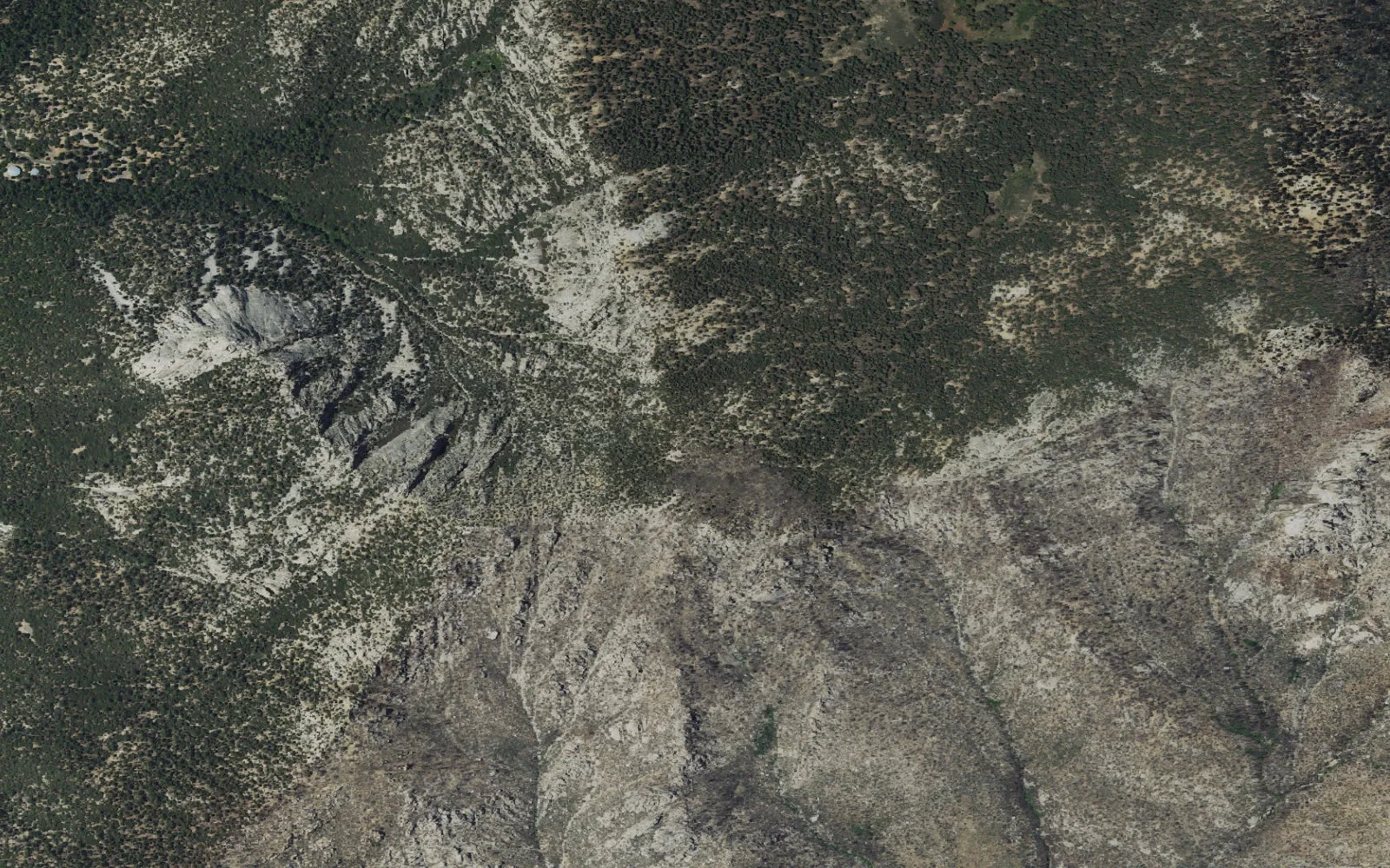 Aerial view centered on Chinquapin Zone camp area