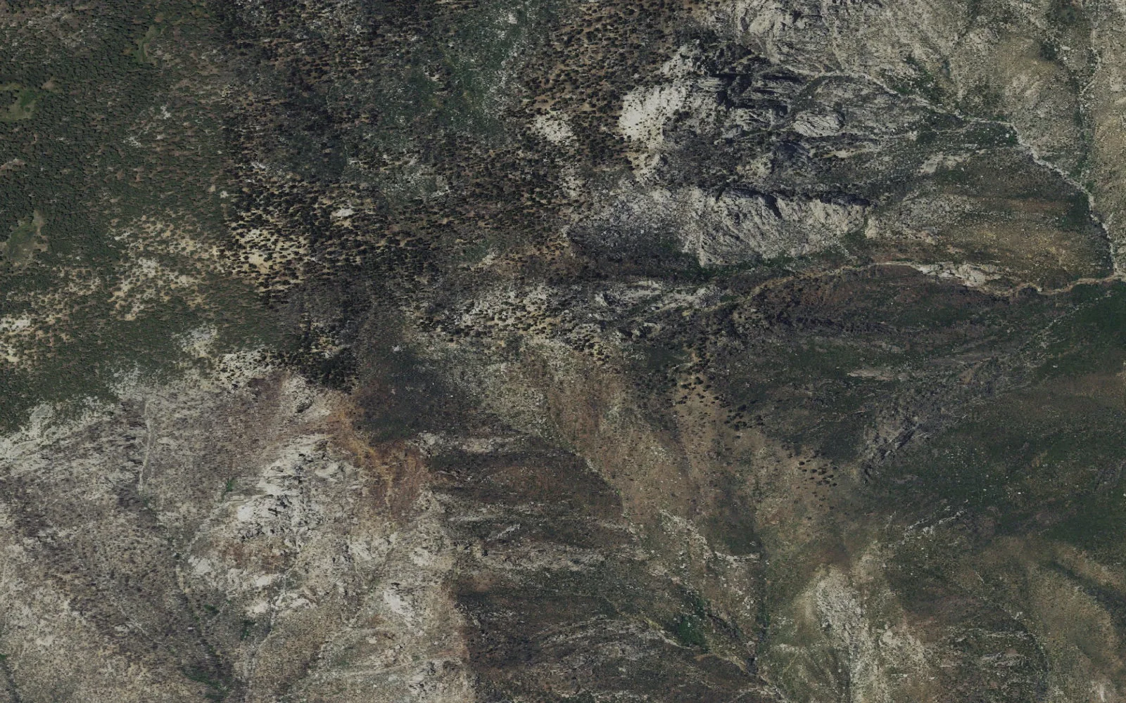 Aerial view centered on Desert View Zone camp area