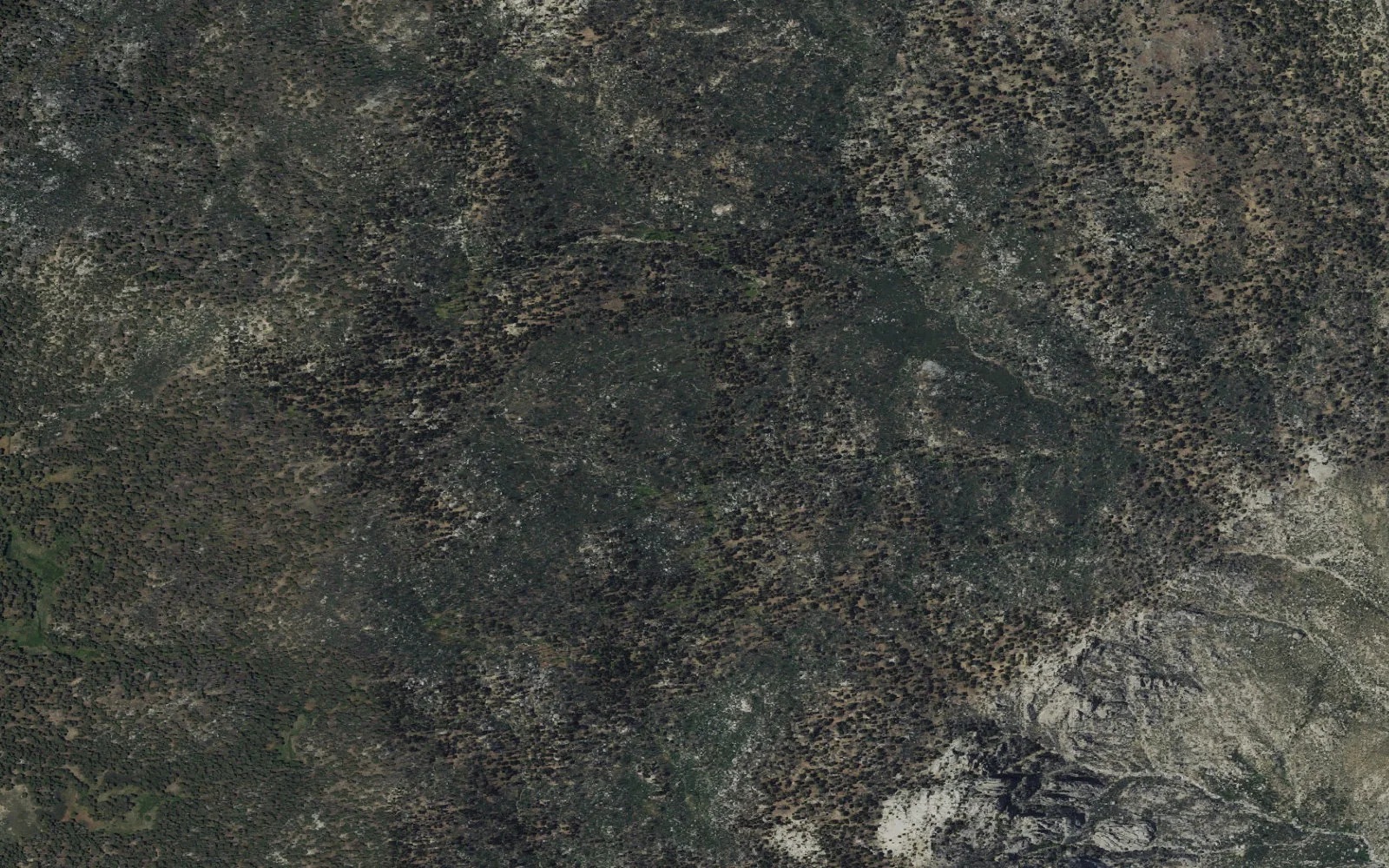 Aerial view centered on Lower Basin Zone camp area