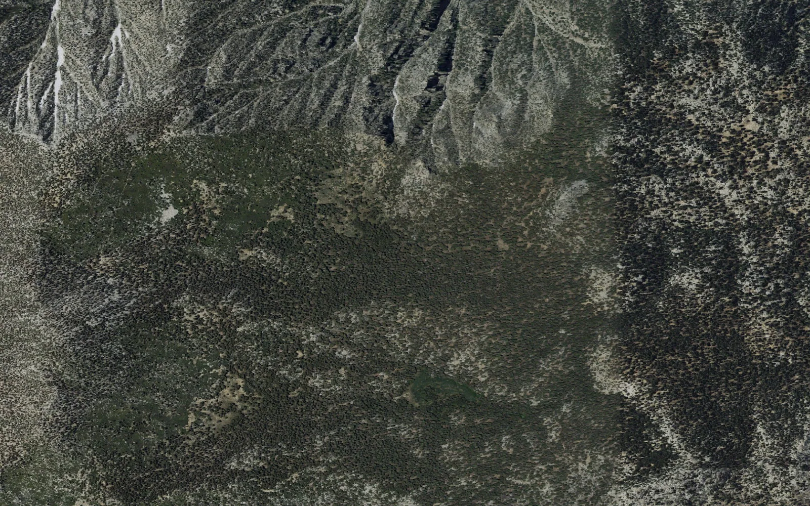Aerial view centered on Round Valley Campground camp area
