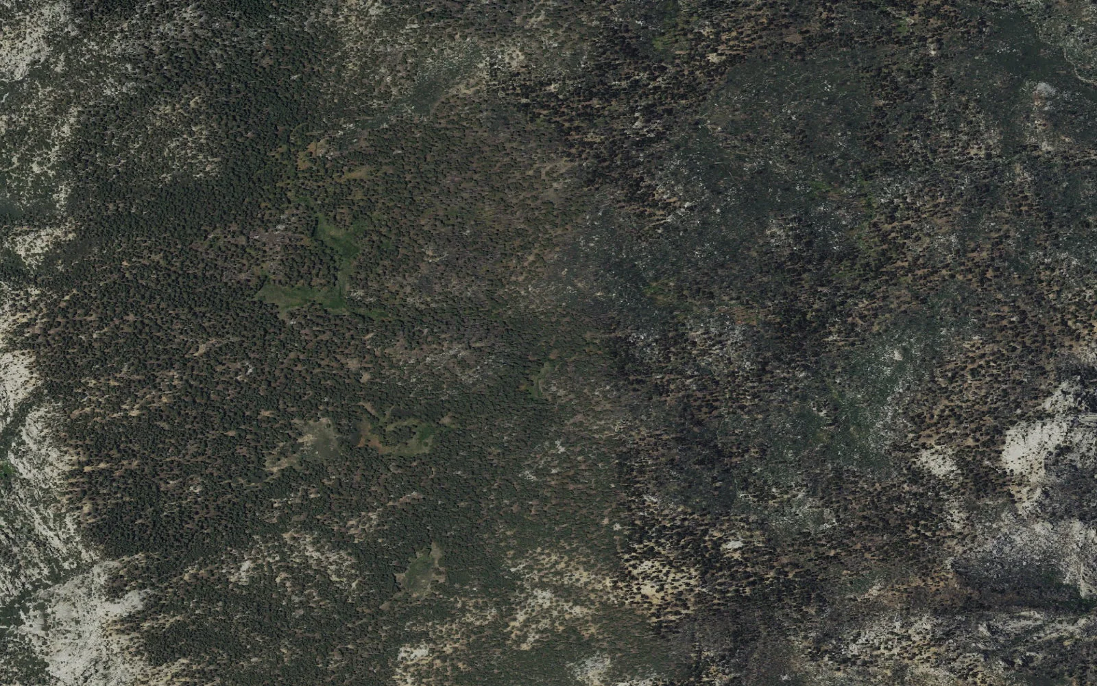 Aerial view centered on Skunk Cabbage Zone camp area