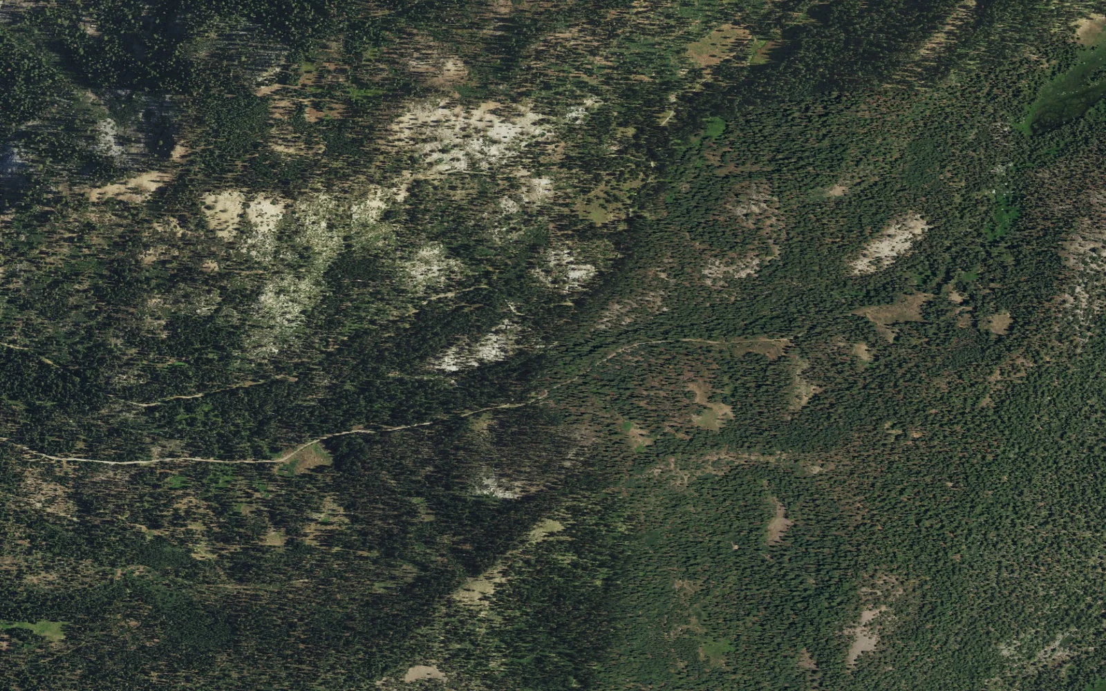 Aerial view centered on Bourland Meadow Trailhead