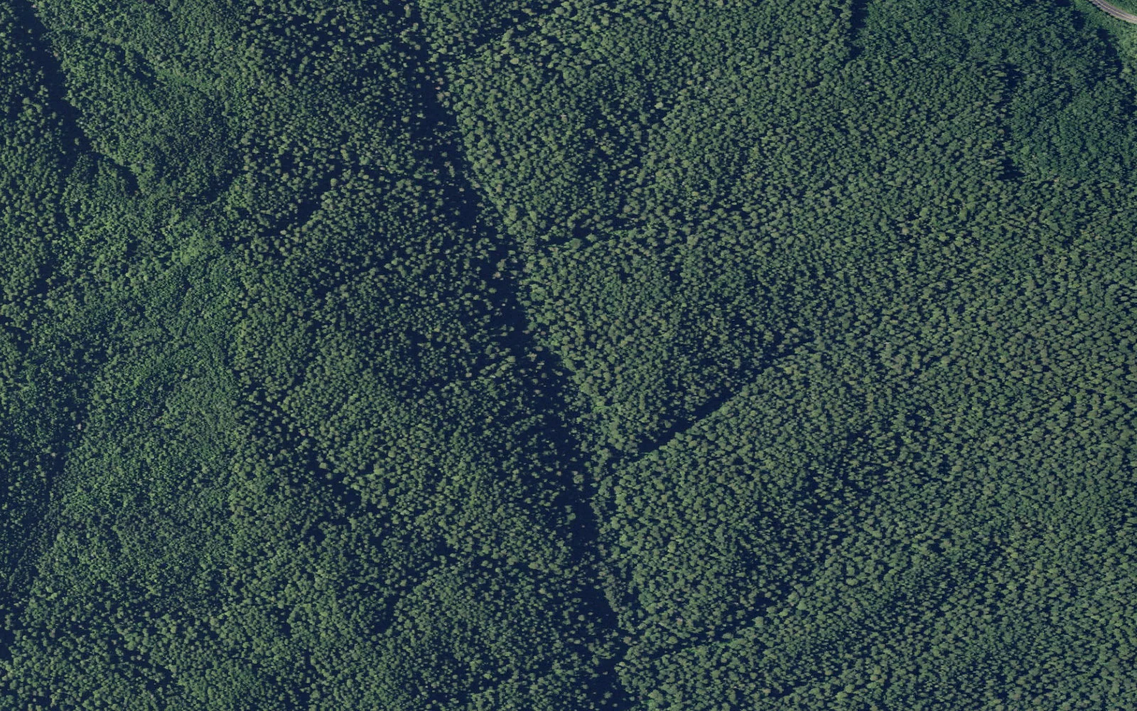 Aerial view centered on Ossagon Trailhead