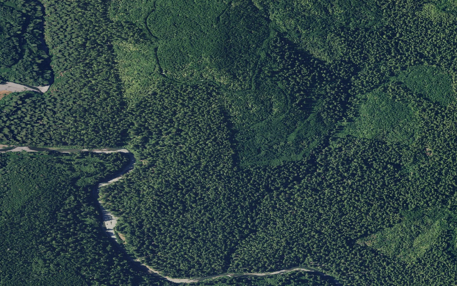 Aerial view centered on Tall Trees Trailhead
