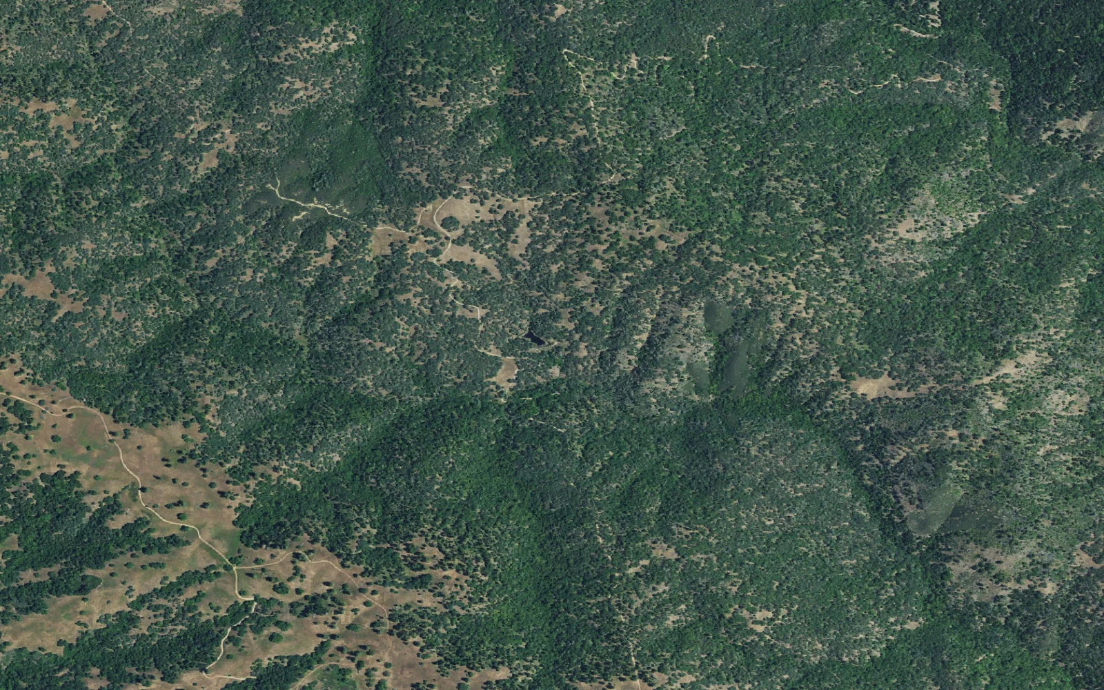 Aerial view centered on Frog Lake camp area