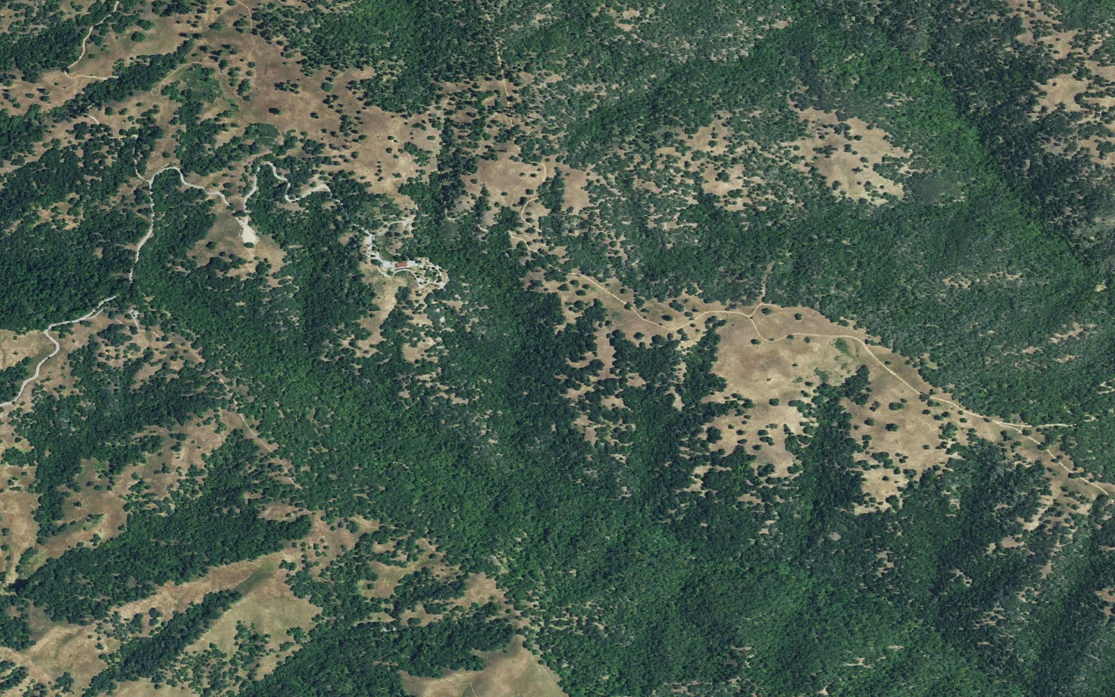 Aerial view centered on Lion Spring camp area