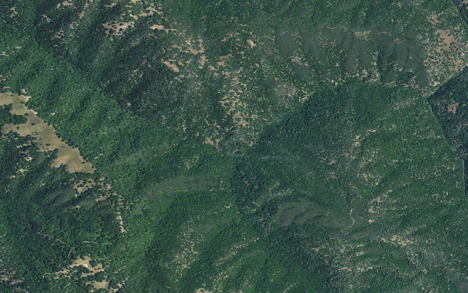 Aerial view centered on Madrone Soda Springs camp area