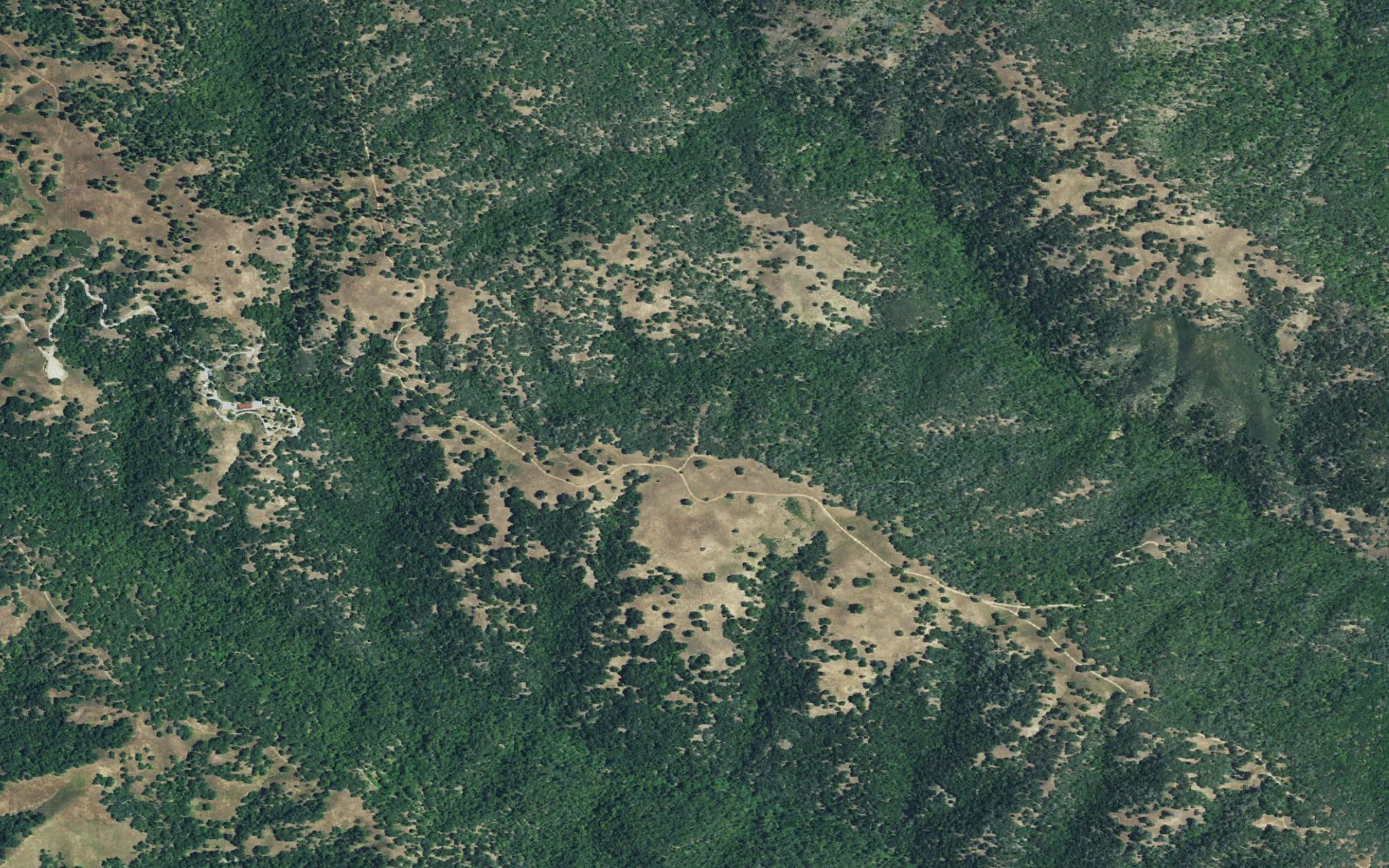 Aerial view centered on Ridge View camp area
