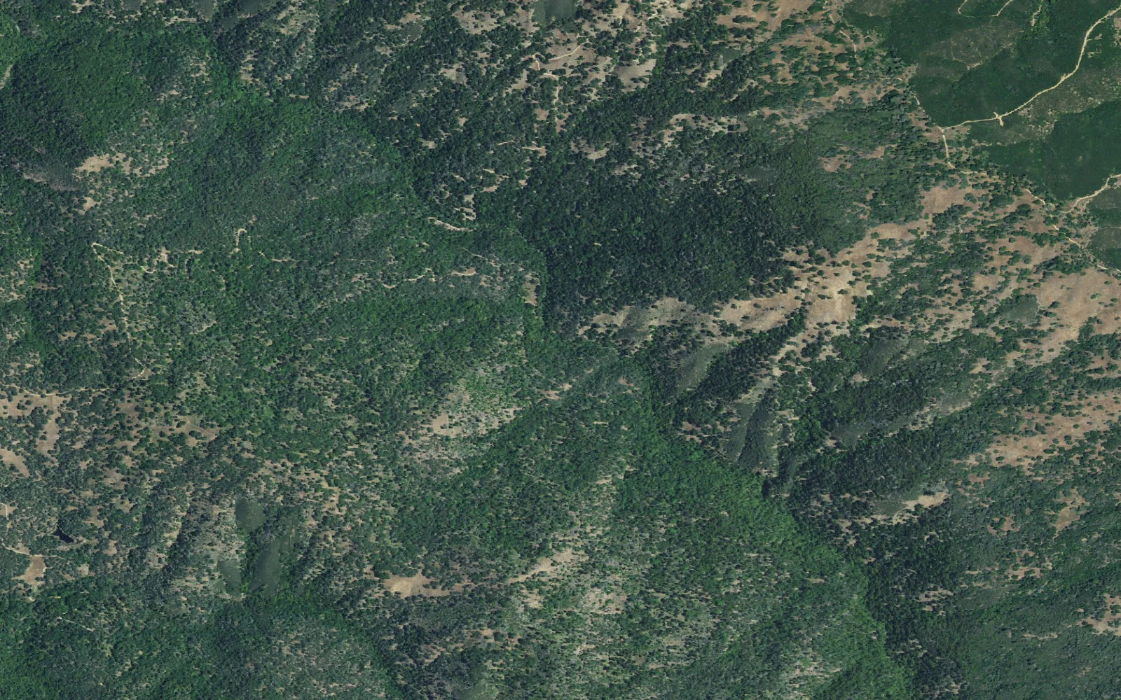 Aerial view centered on Skeel's Meadow camp area