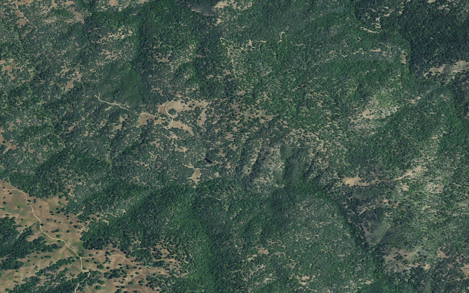 Aerial view centered on Two Oaks camp area