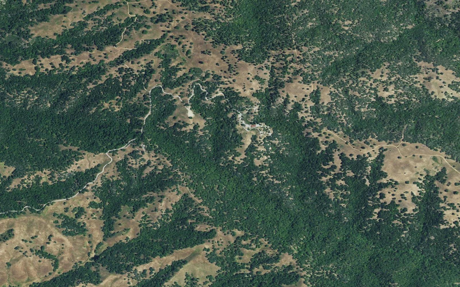 Aerial view centered on Yerba Buena camp area