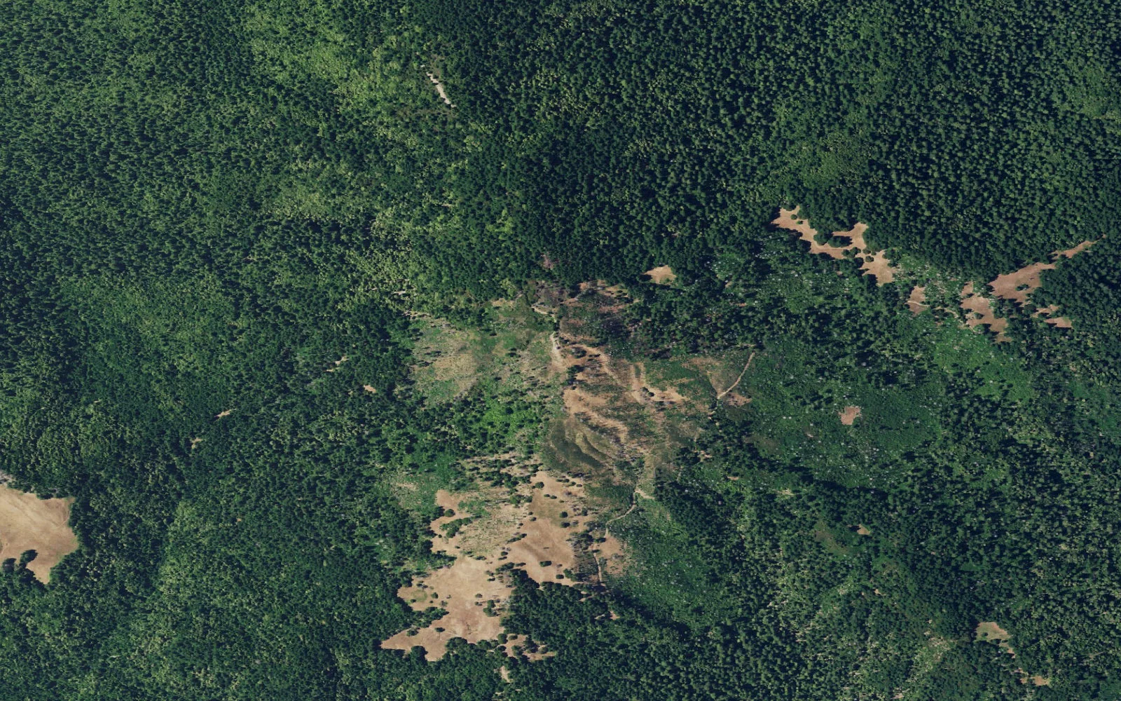 Aerial view centered on Grasshopper Camp