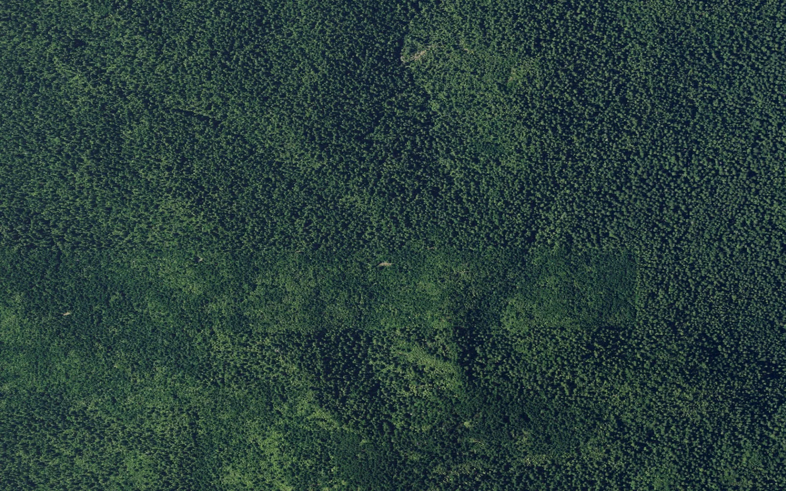 Aerial view centered on Johnson Camp