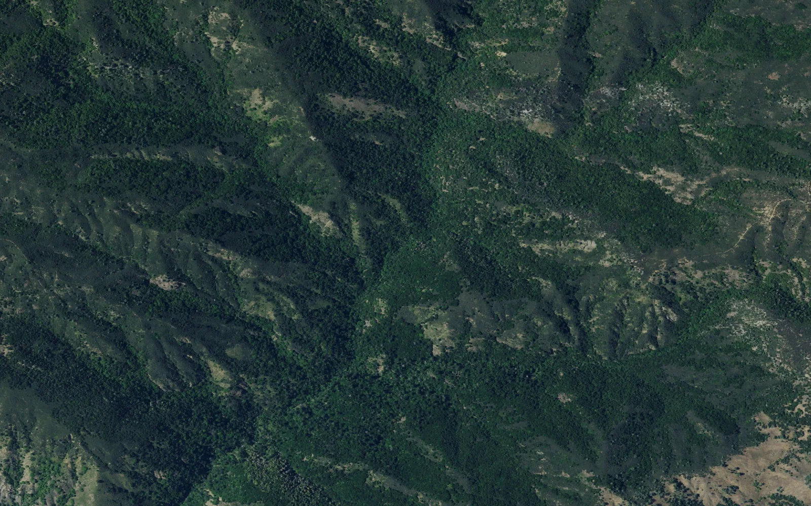 Aerial view centered on Spruce Creek Camp