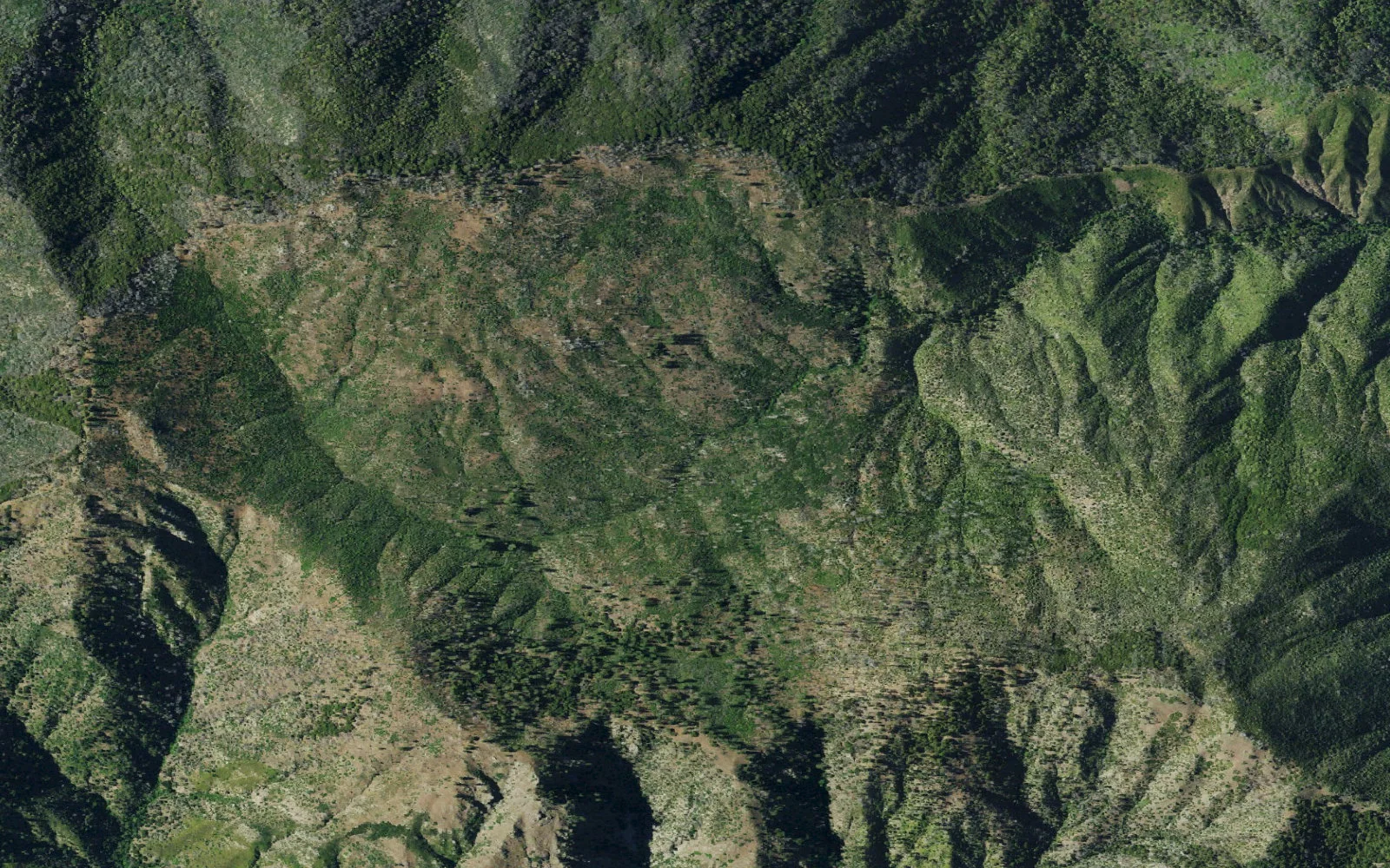 Aerial view centered on Big Pines Camp