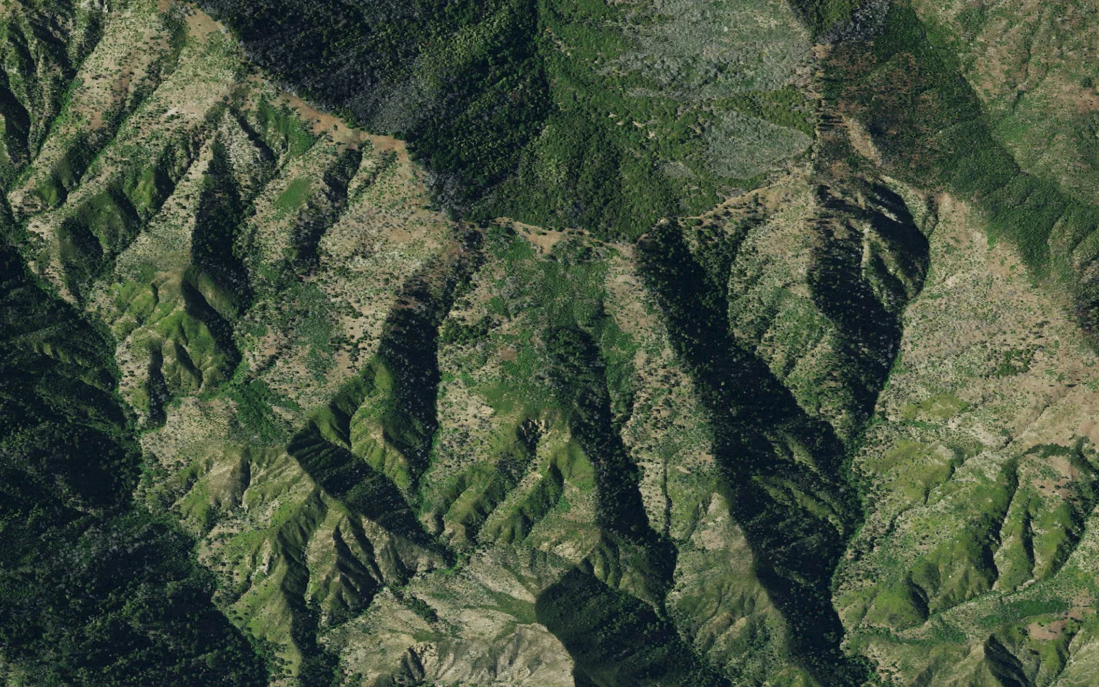 Aerial view centered on Comings Camp