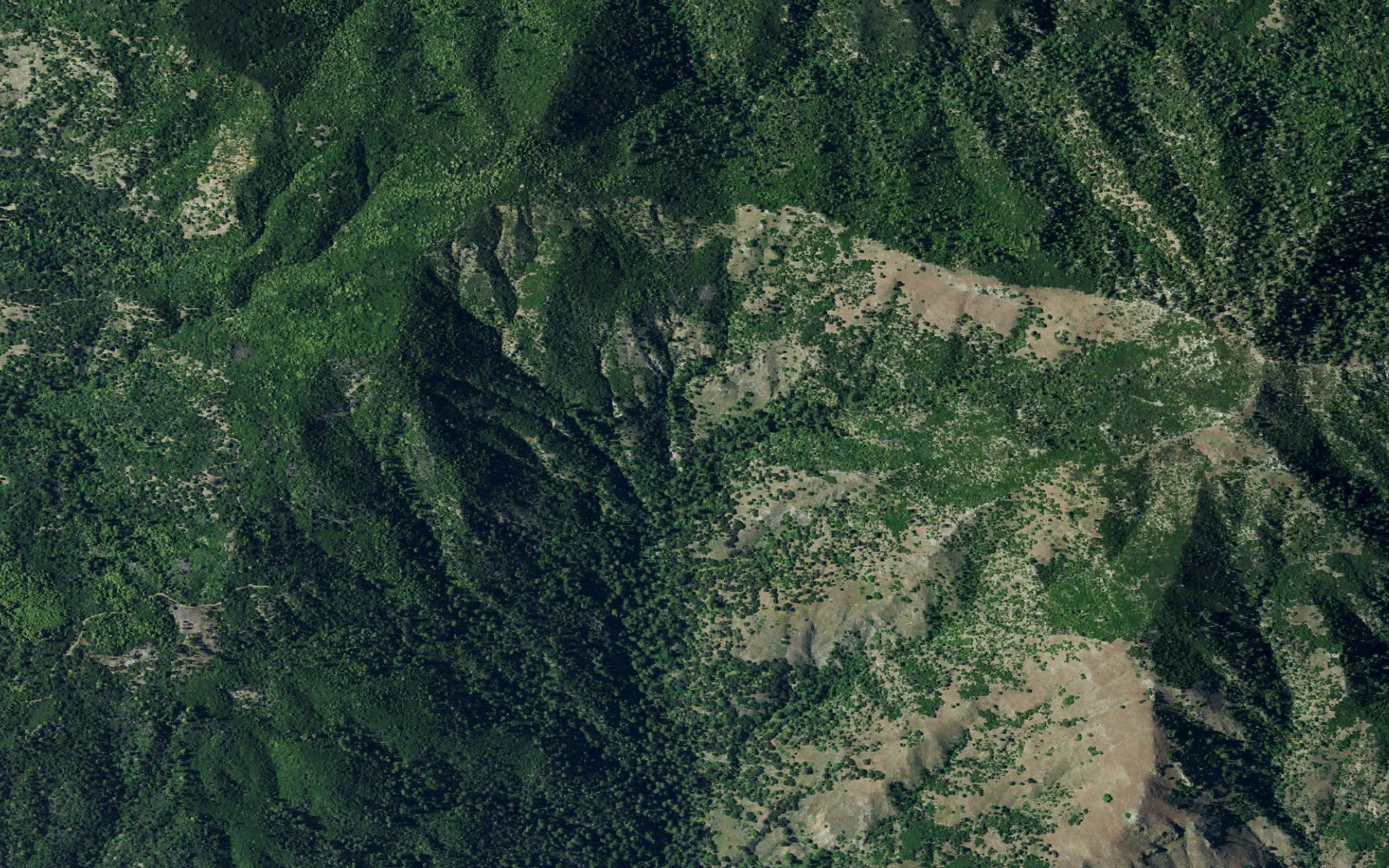 Aerial view centered on Goat Camp