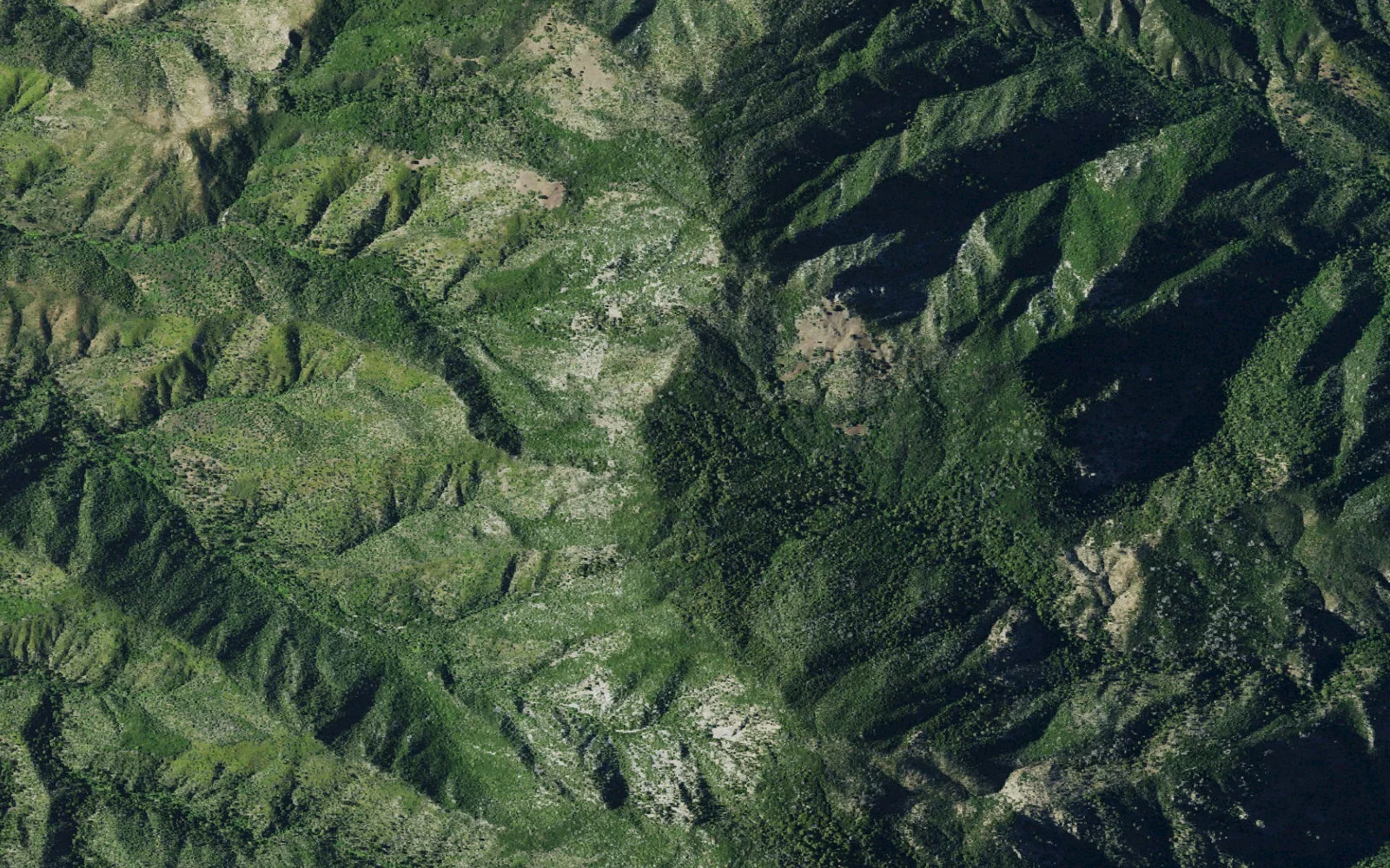 Aerial view centered on Lone Pine Camp