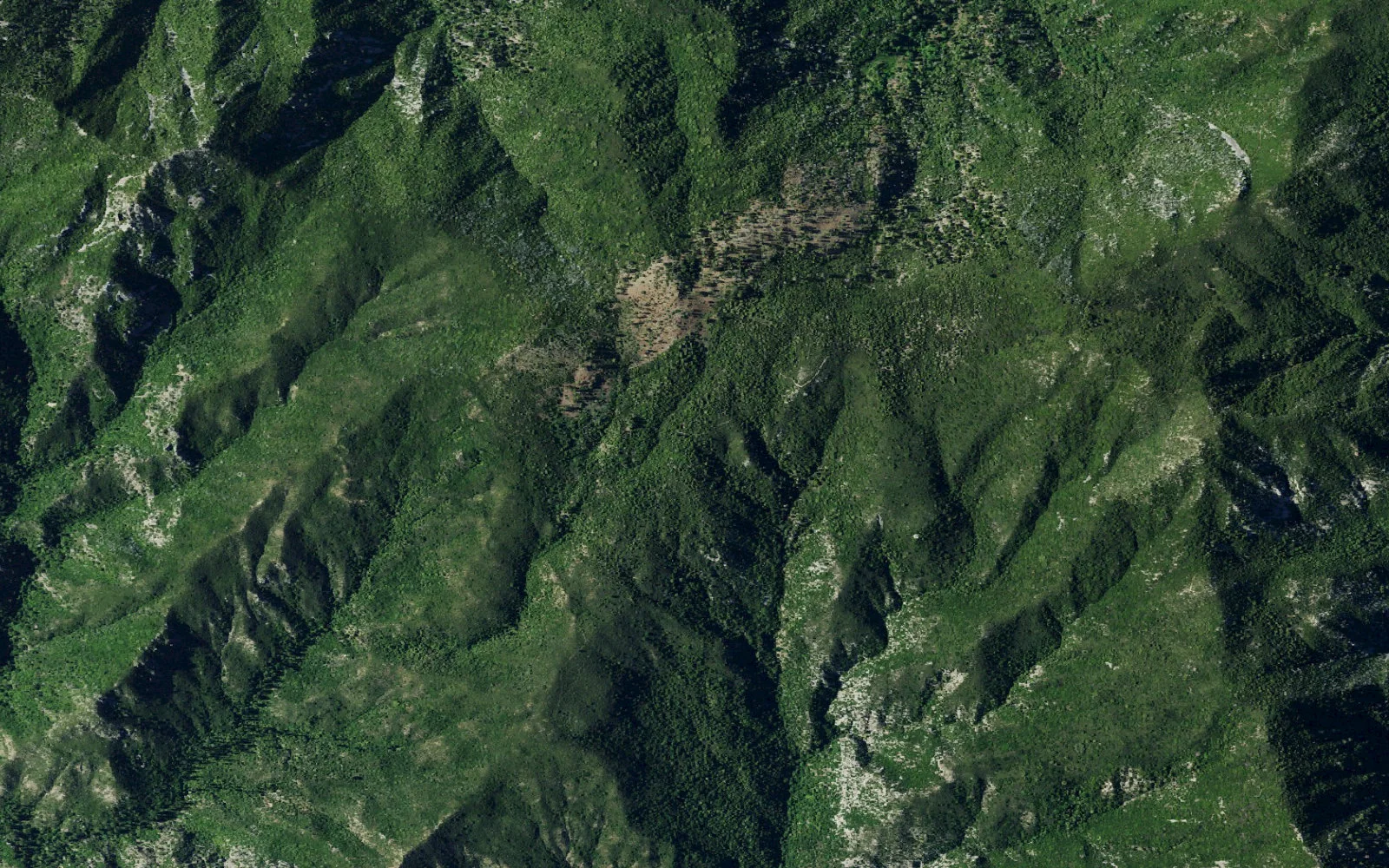 Aerial view centered on Pine Ridge Camp