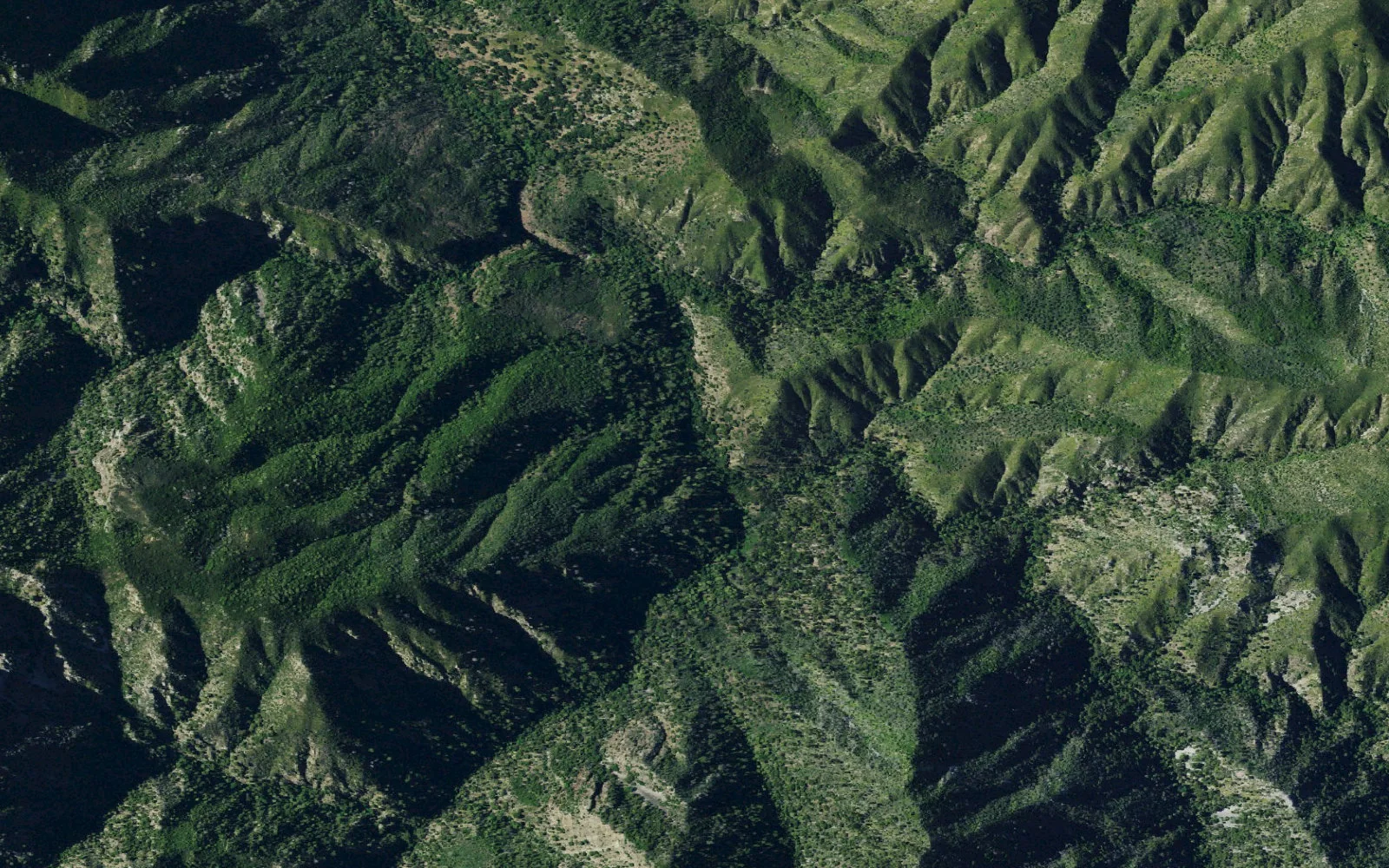 Aerial view centered on Round Rock Camp