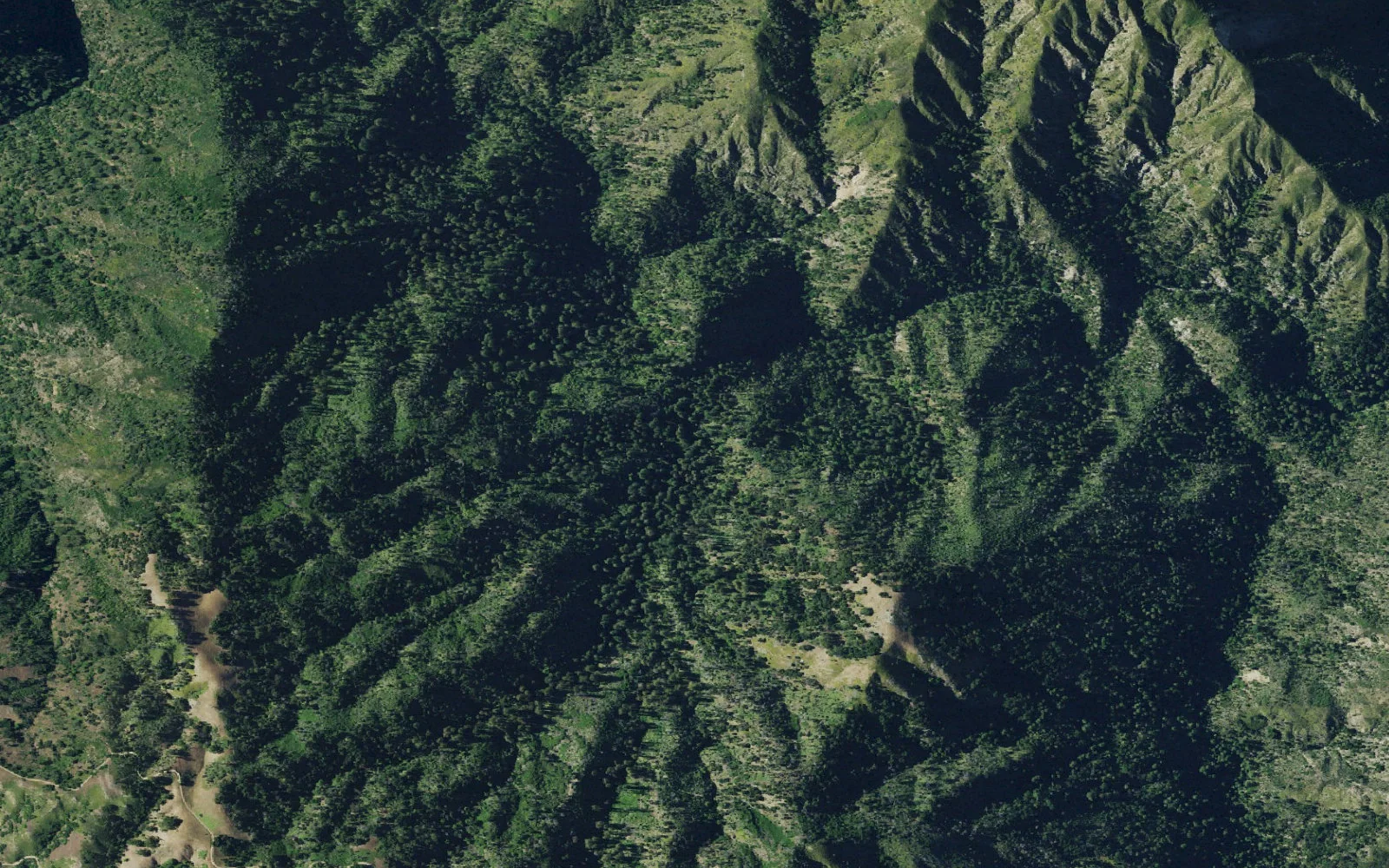Aerial view centered on Terrace Creek Camp