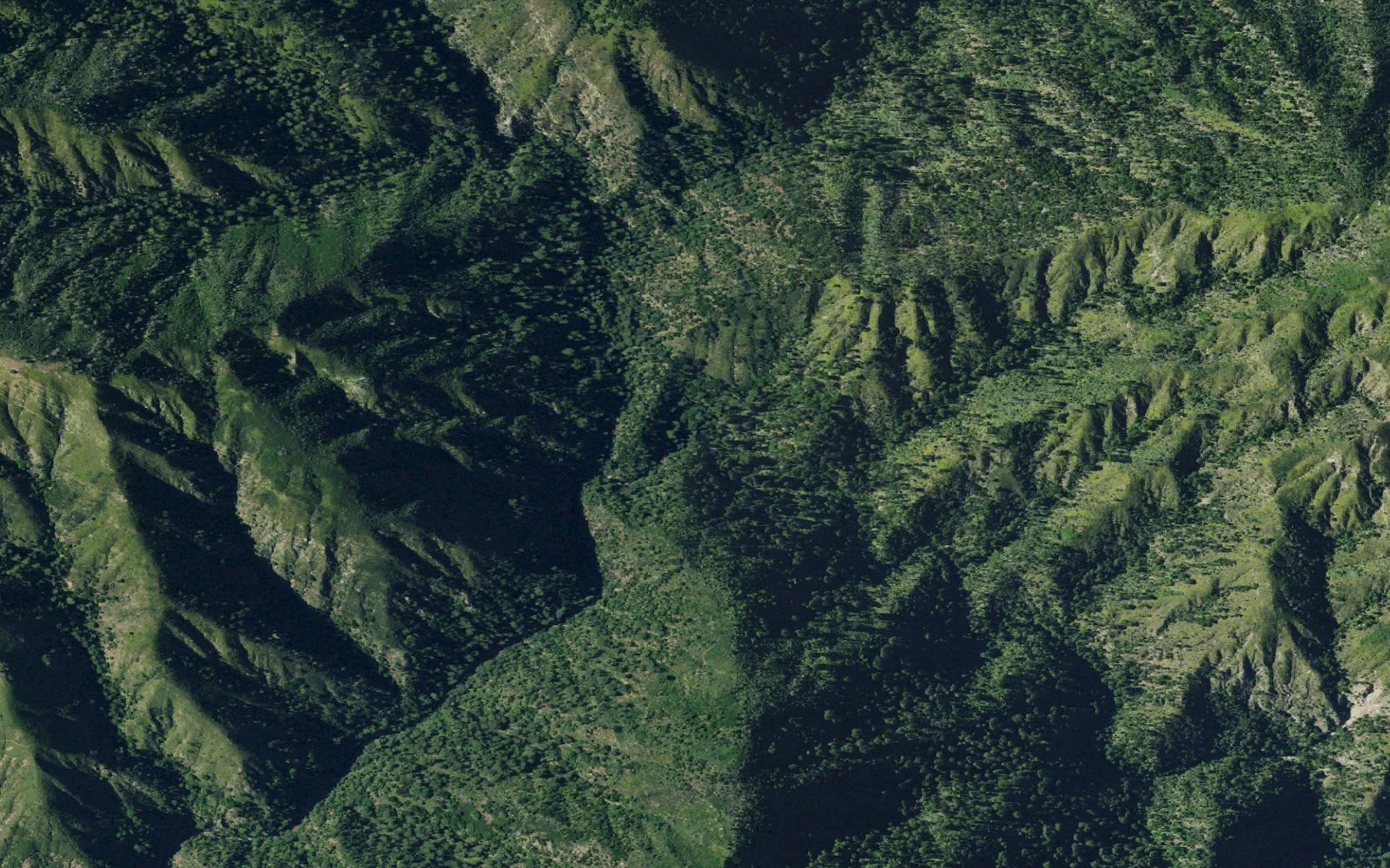 Aerial view centered on Ventana Camp
