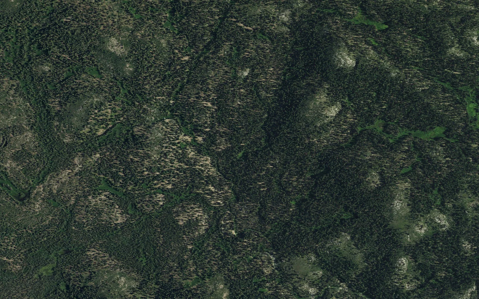 Aerial view centered on Mill Creek Upper Backcountry Zone camp area