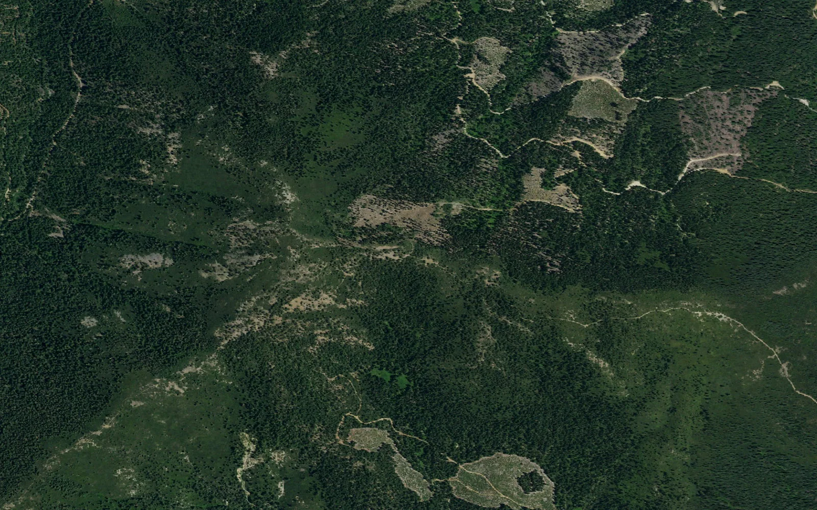 Aerial view centered on Castle Lake East Backcountry Zone camp area