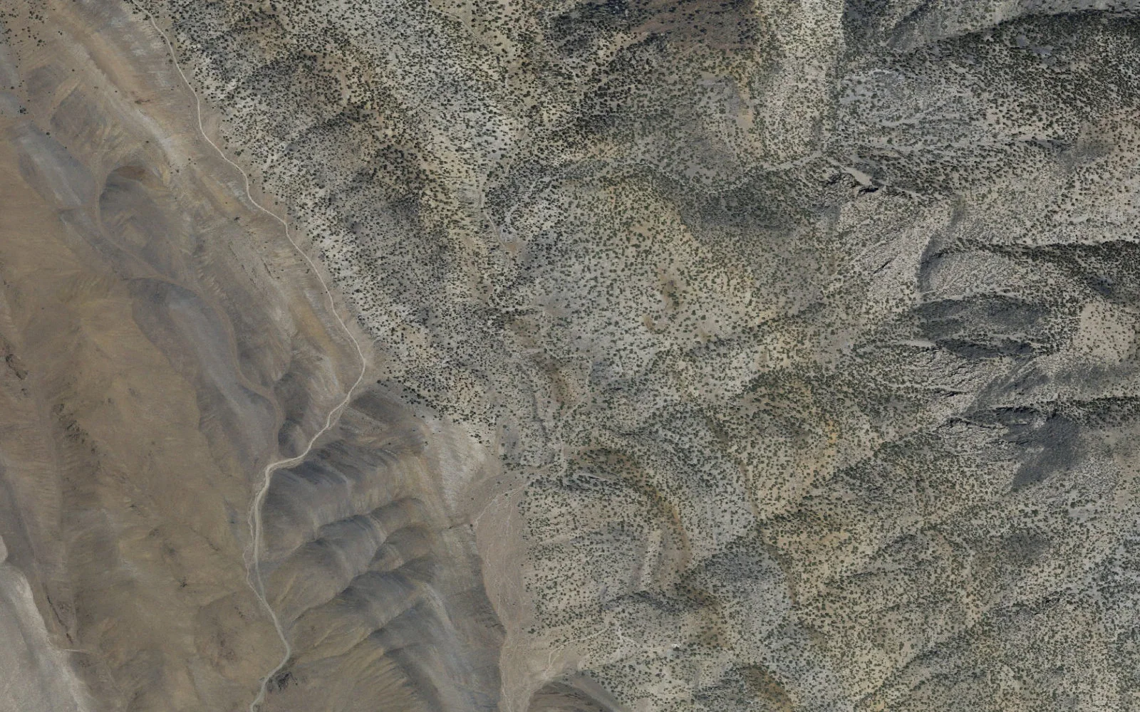 Aerial view centered on Mazourka Canyon Lower Backcountry Zone camp area