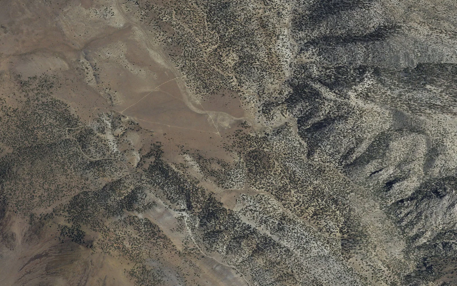 Aerial view centered on Mazourka Canyon Upper Backcountry Zone camp area