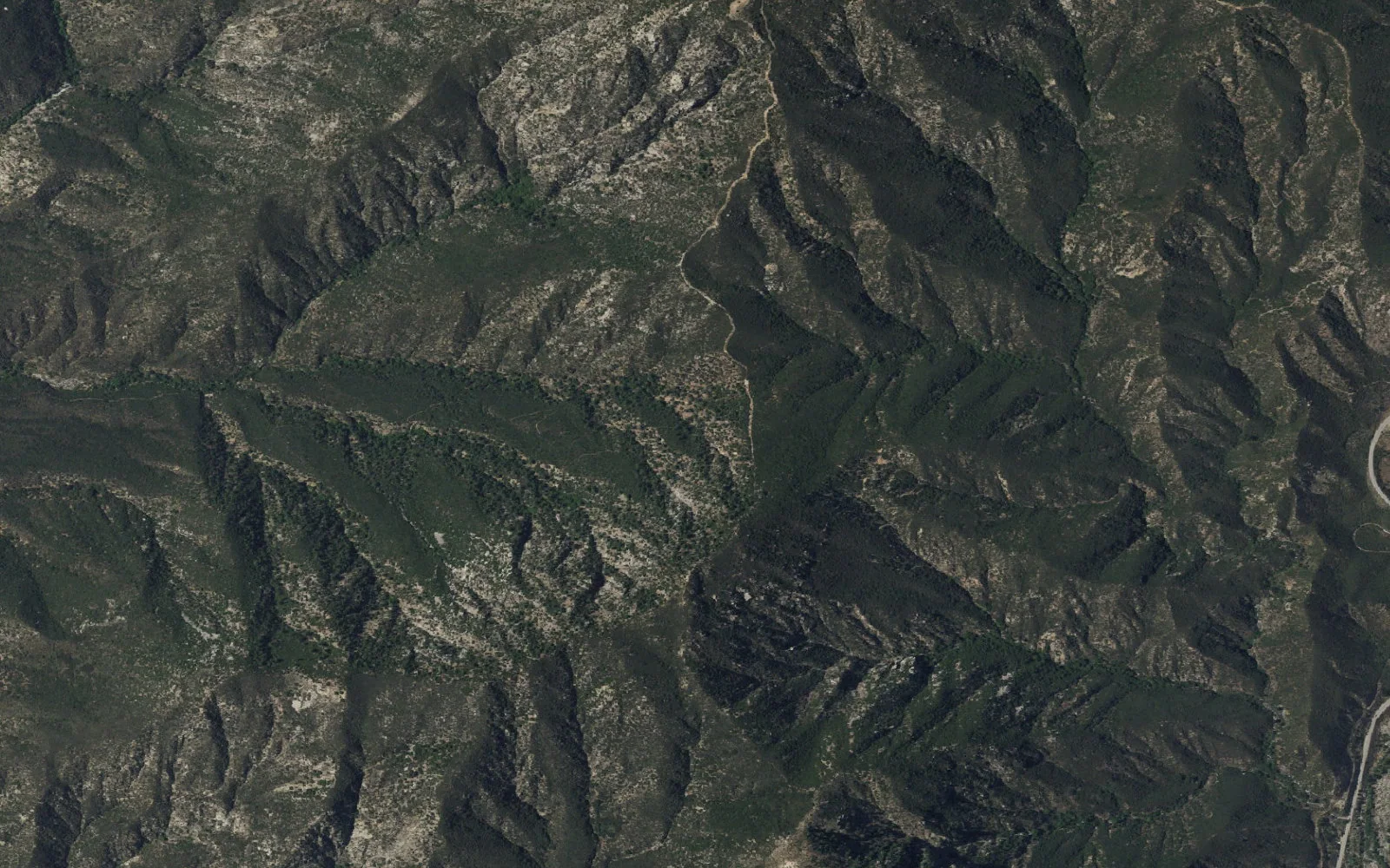 Aerial view centered on Bear Creek Central Backcountry Zone camp area