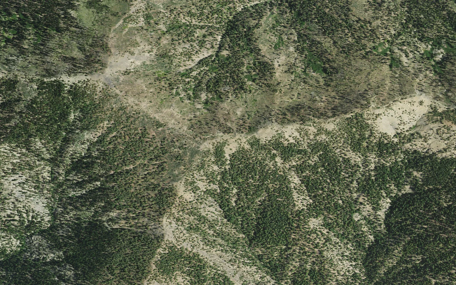 Aerial view centered on Ides Cove Backcountry Zone camp area