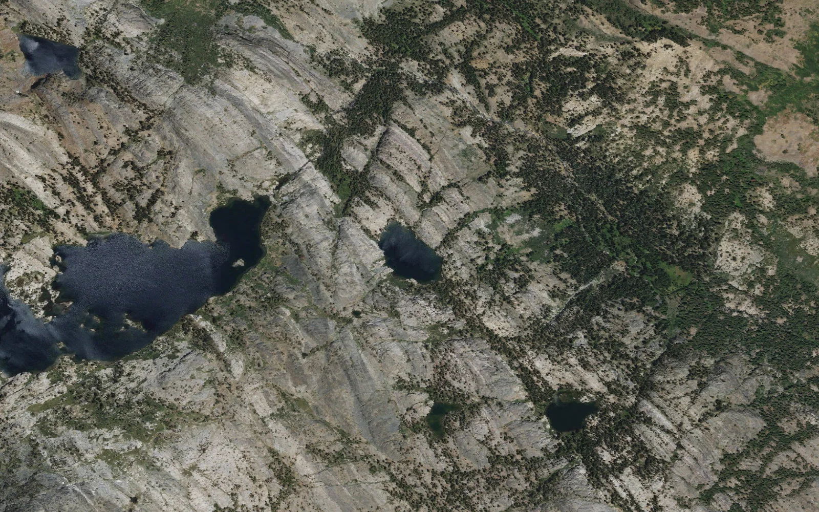 Aerial view centered on Altha Lake