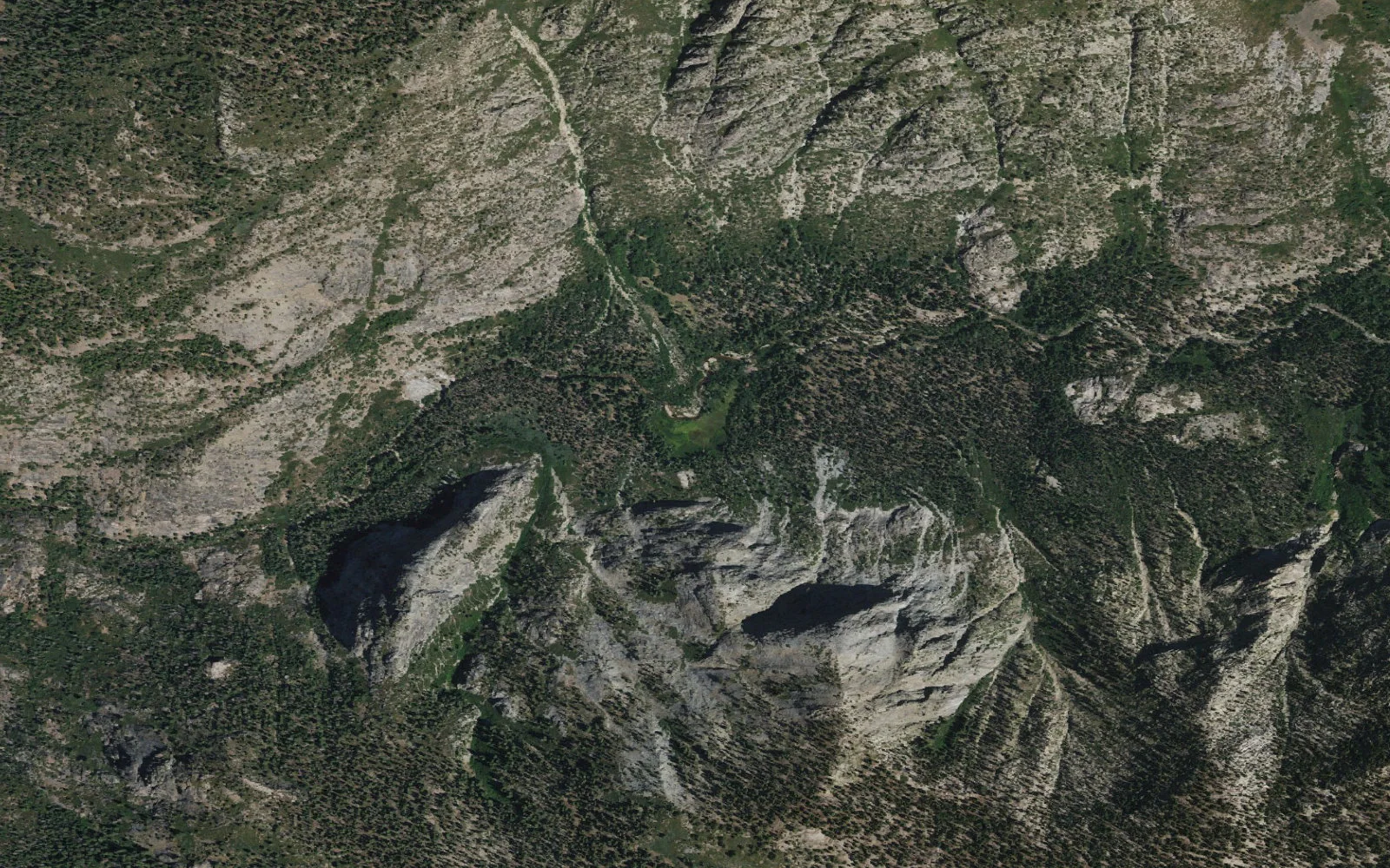 Aerial view centered on Fox Meadow