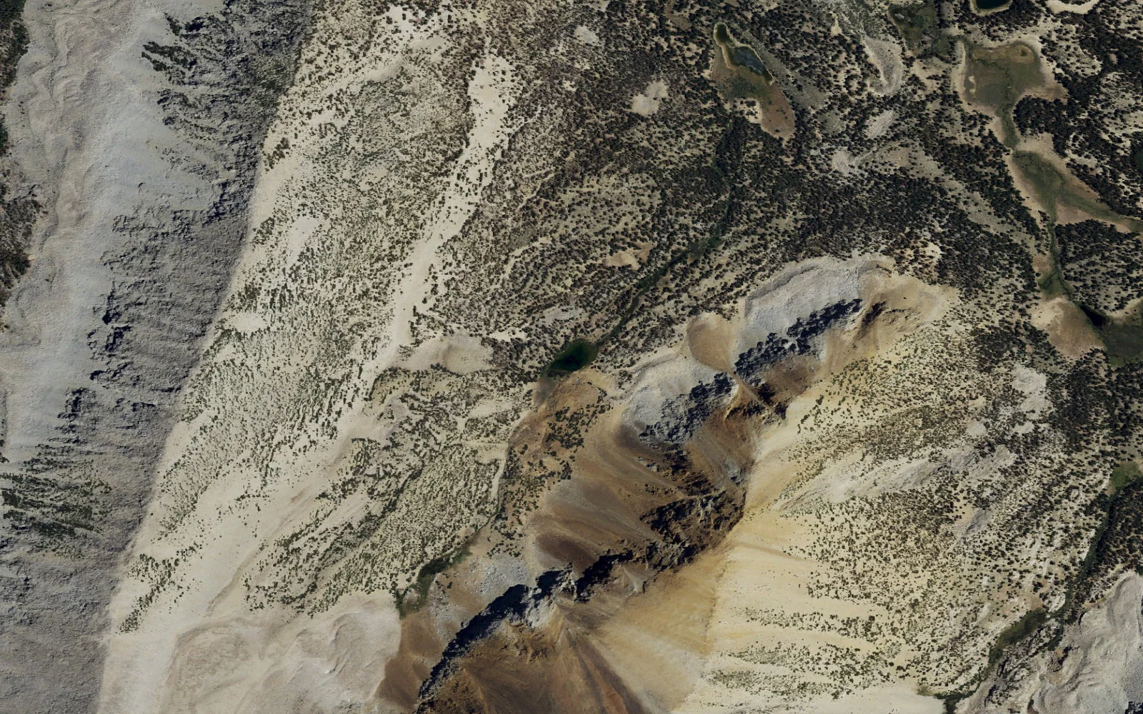 Aerial view centered on Francis Lake