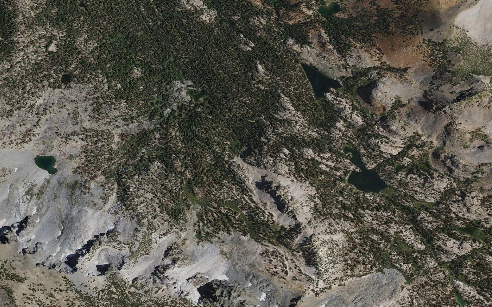 Aerial view centered on Gentian Meadow