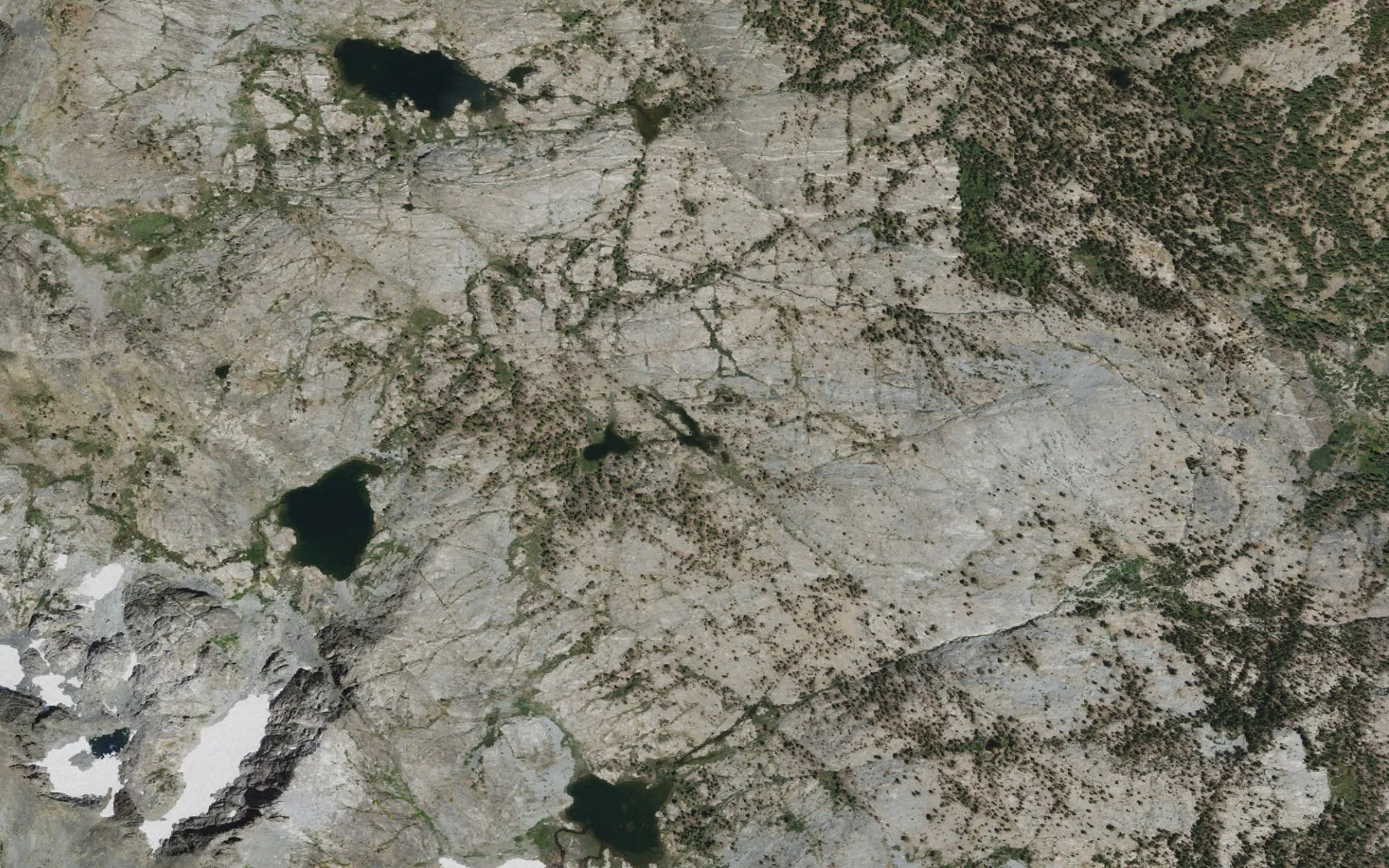 Aerial view centered on Gertrude Lake