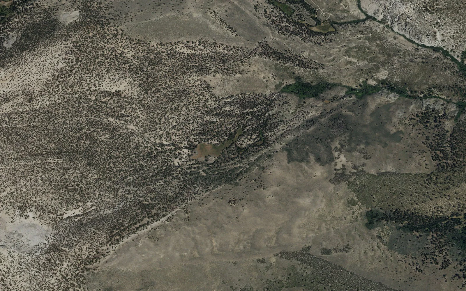 Aerial view centered on High Meadows