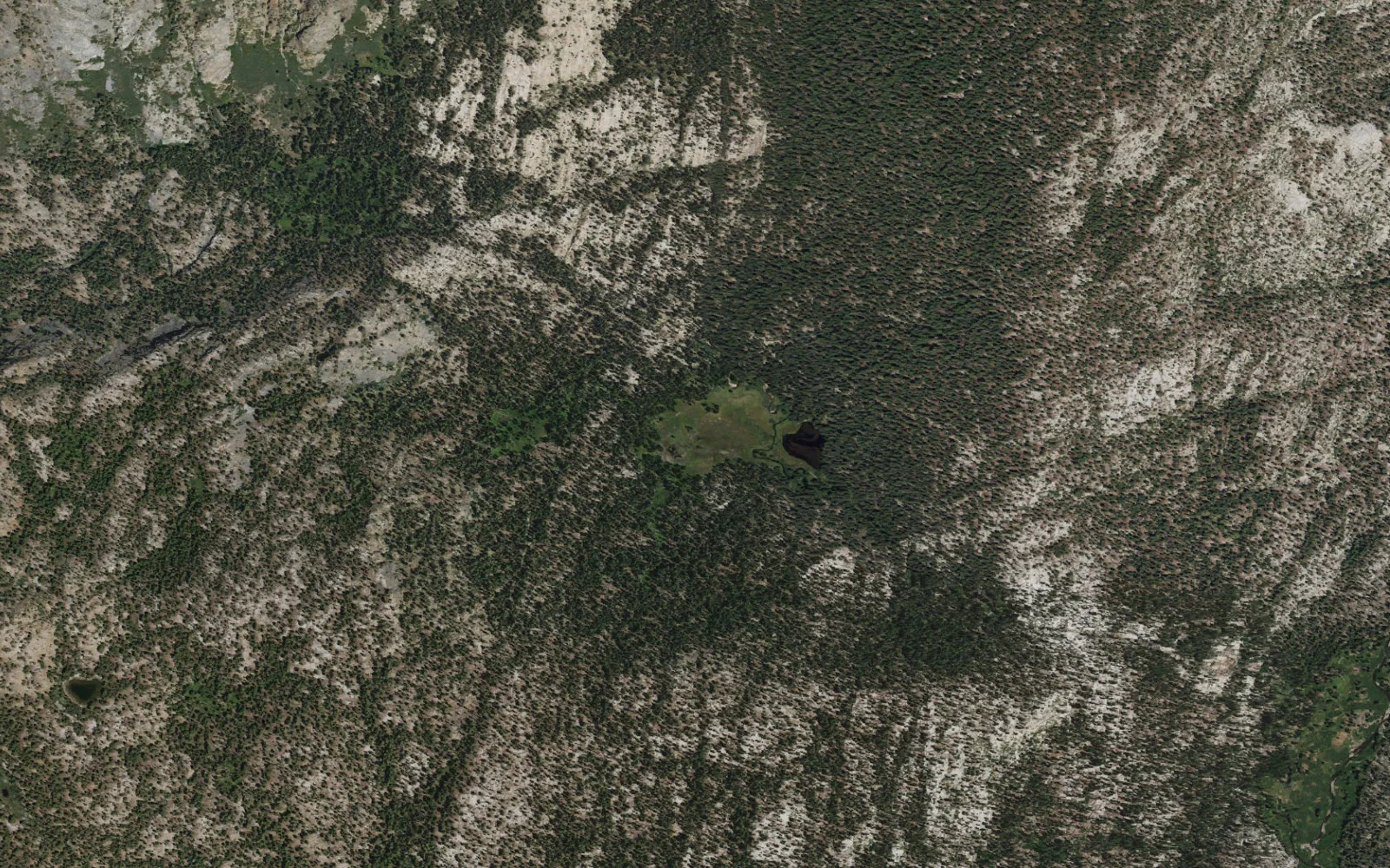 Aerial view centered on Johnston Meadow