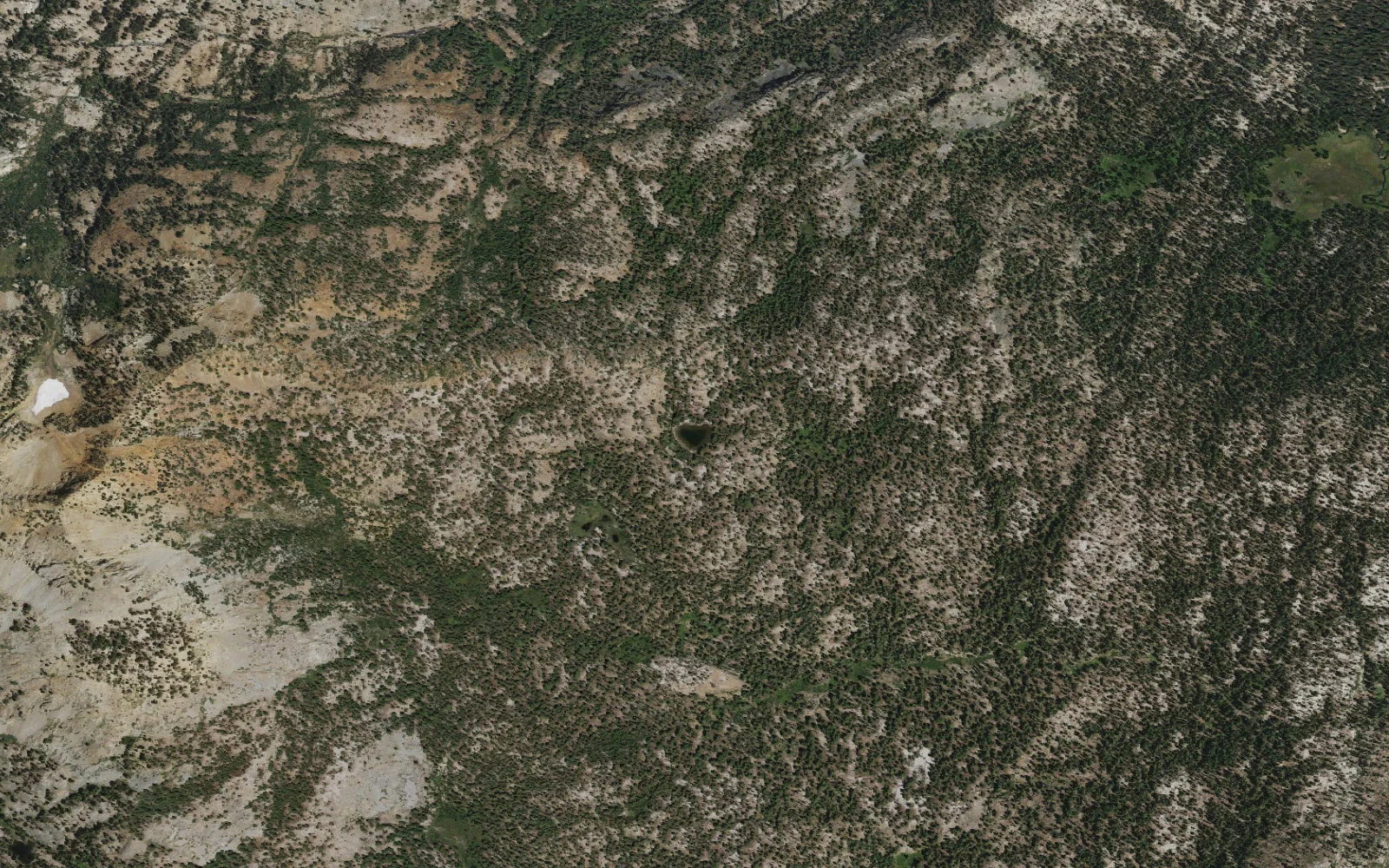 Aerial view centered on Lost Dog Lake