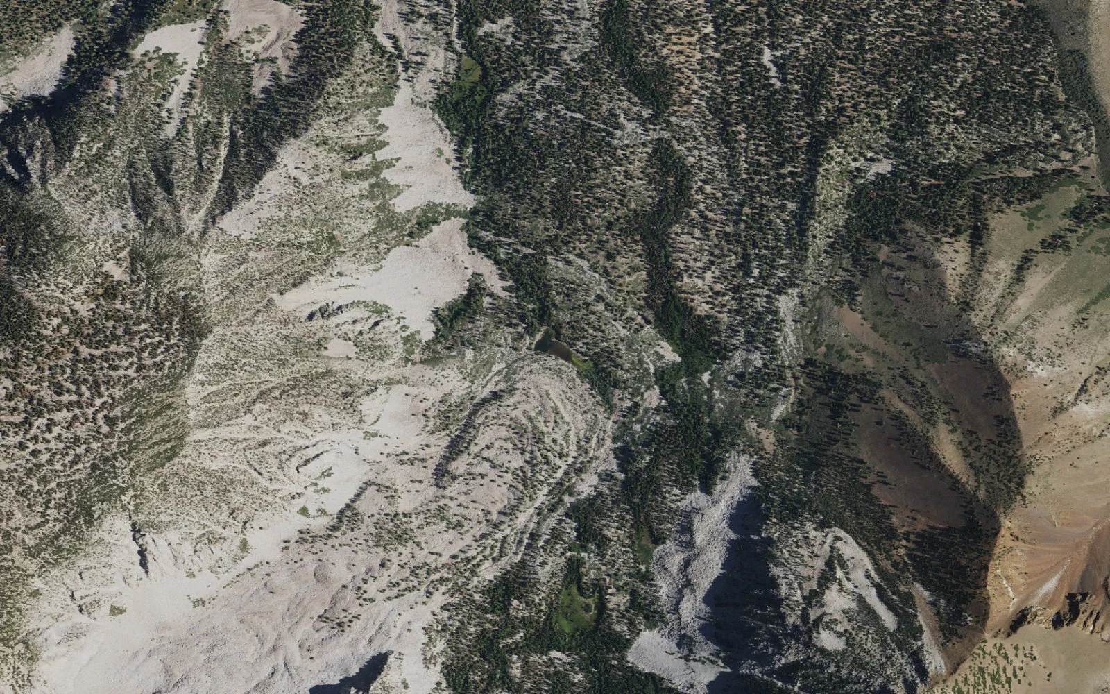 Aerial view centered on Lost Lake