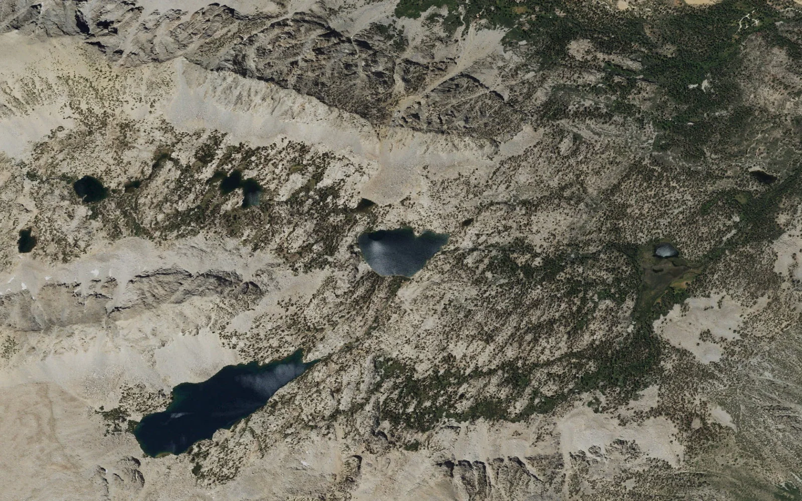 Aerial view centered on Lower Lamarck Lake
