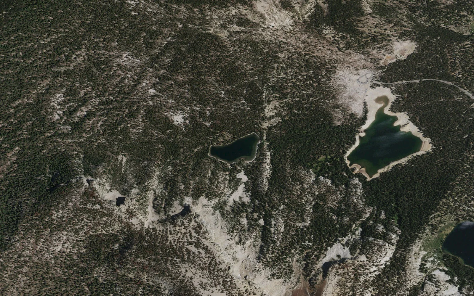 Aerial view centered on McLeod Lake