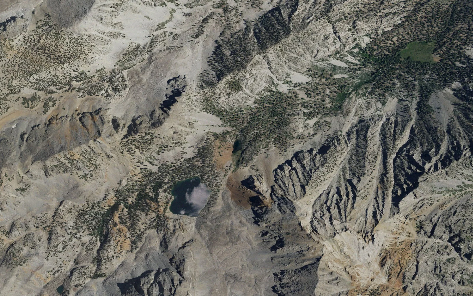 Aerial view centered on Mule Lake