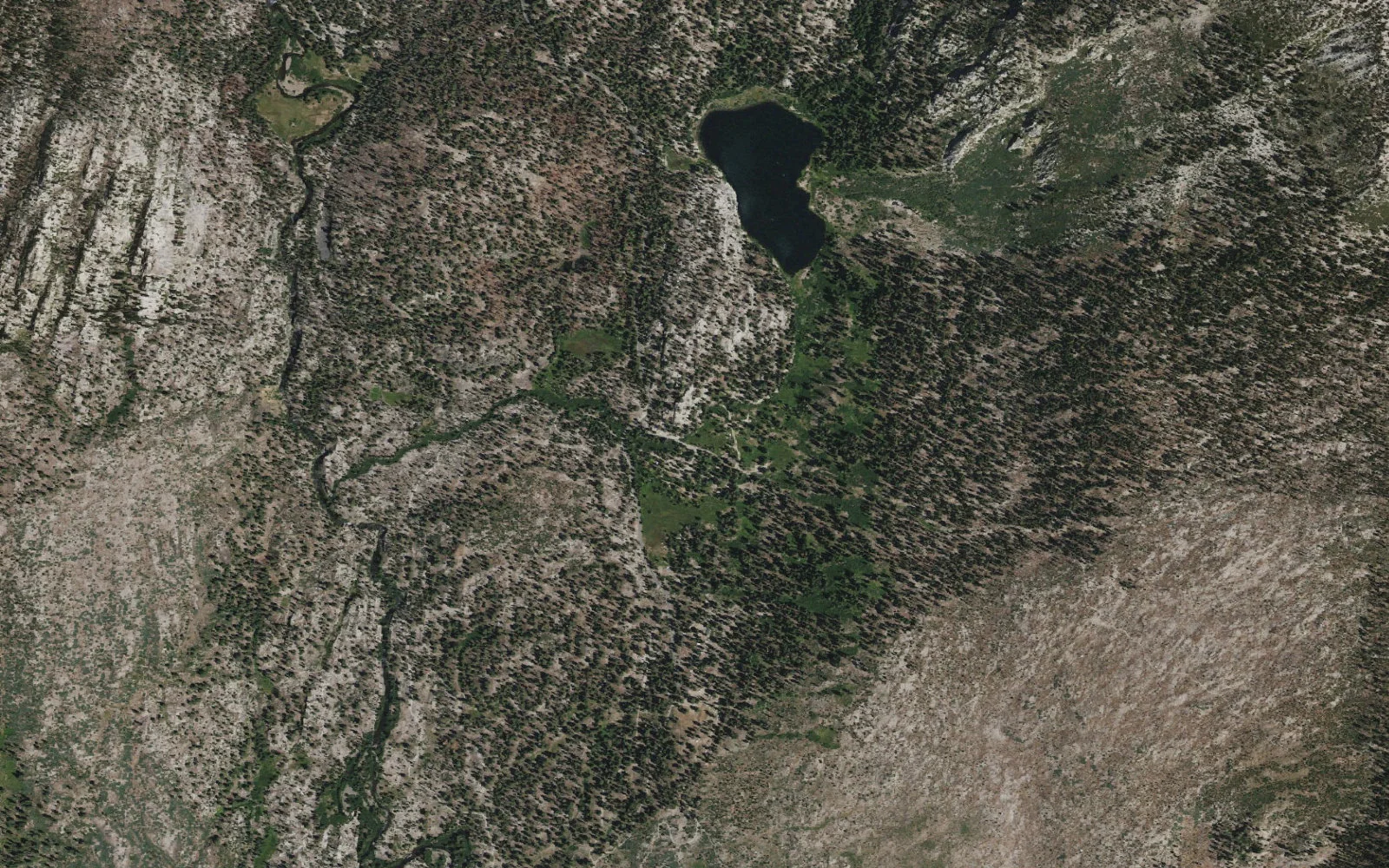 Aerial view centered on Reds Meadow